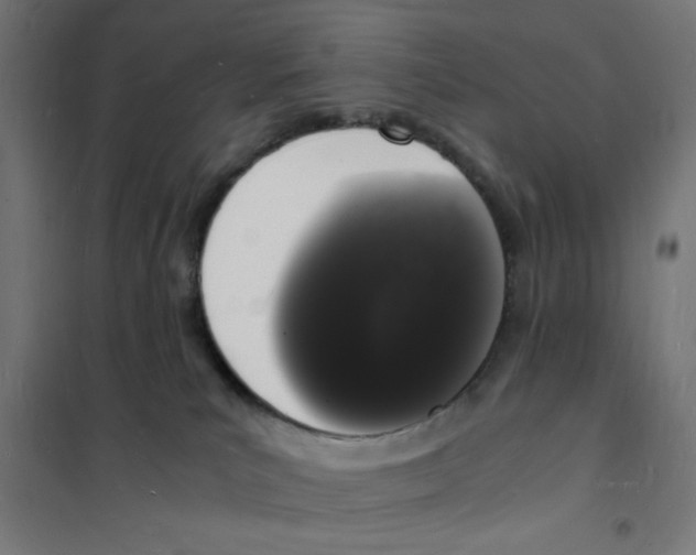 X0000101670039200808071055