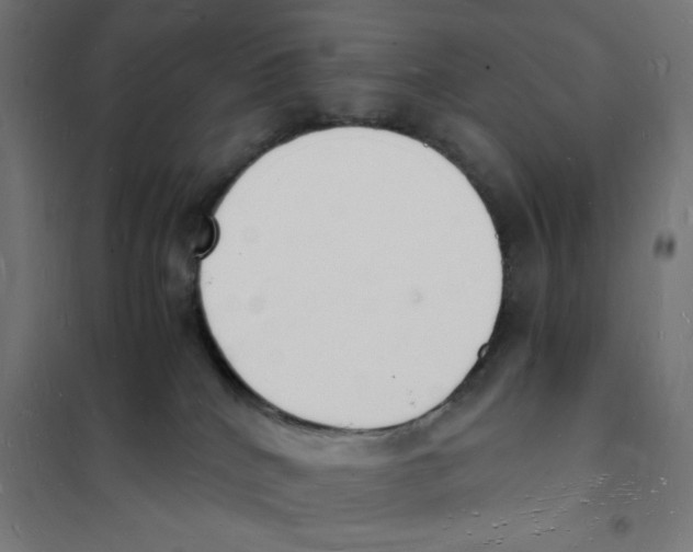 X0000101670040200808071055