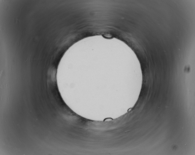 X0000101670041200808071055