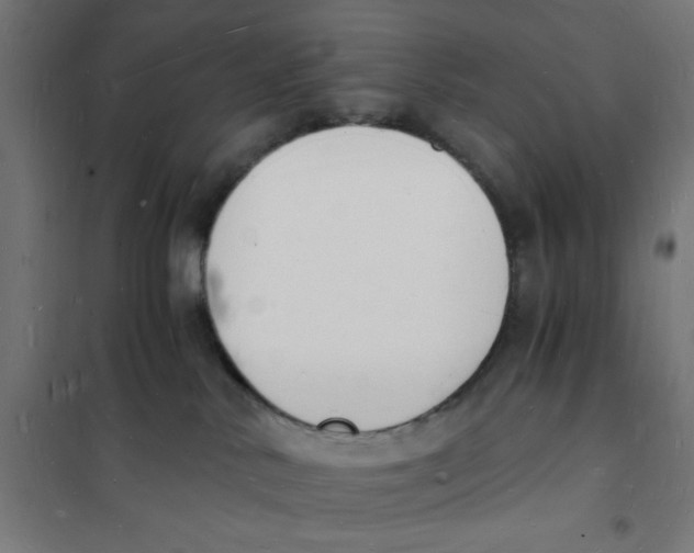 X0000101670042200808071055