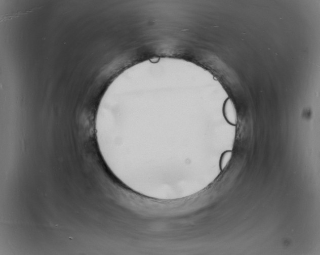 X0000101670043200808071055