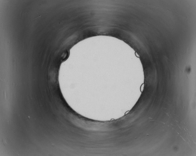 X0000101670044200808071055