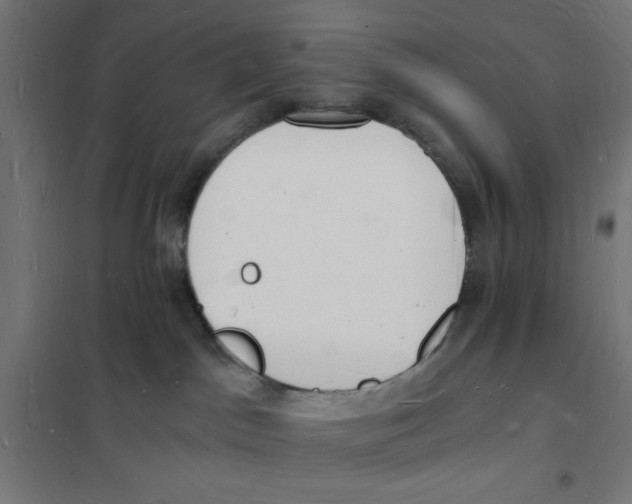X0000101670045200808071055