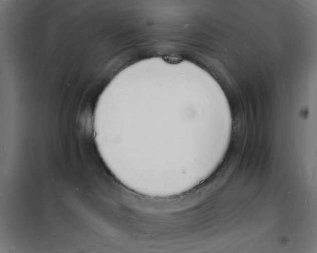 X0000101670046200808071055