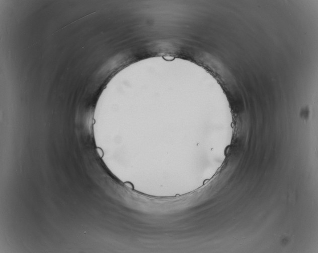 X0000101670047200808071055