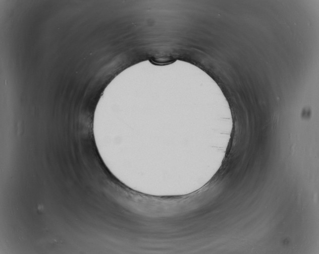 X0000101670048200808071055