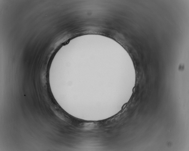 X0000101670050200808071054