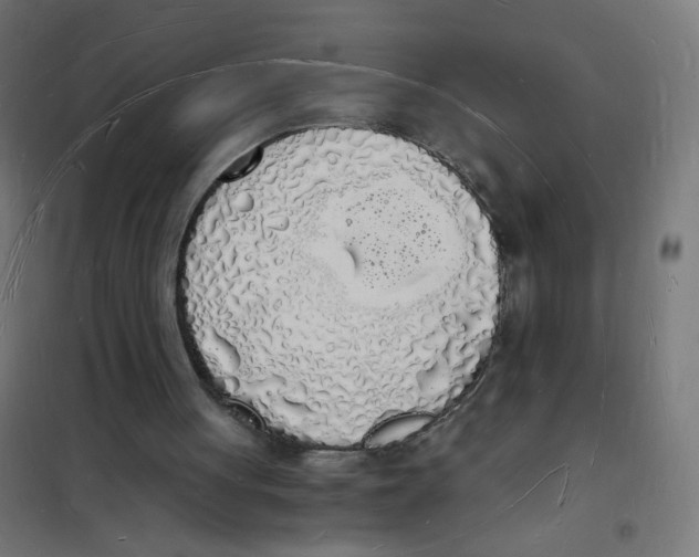 X0000101670051200808071054