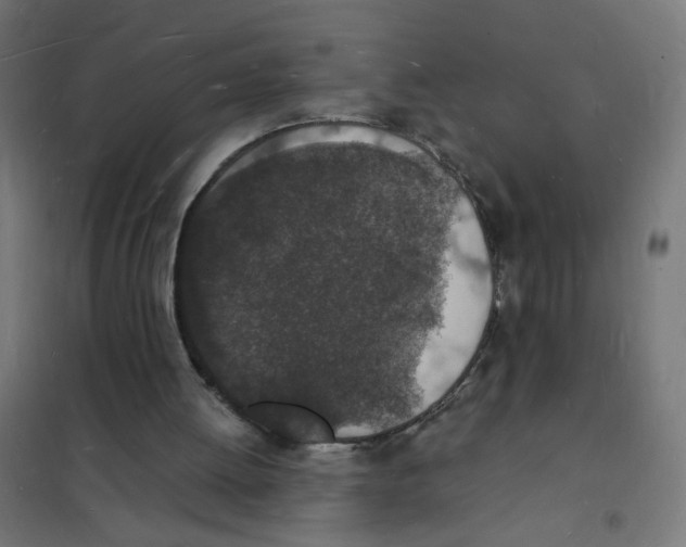 X0000101670052200808071054
