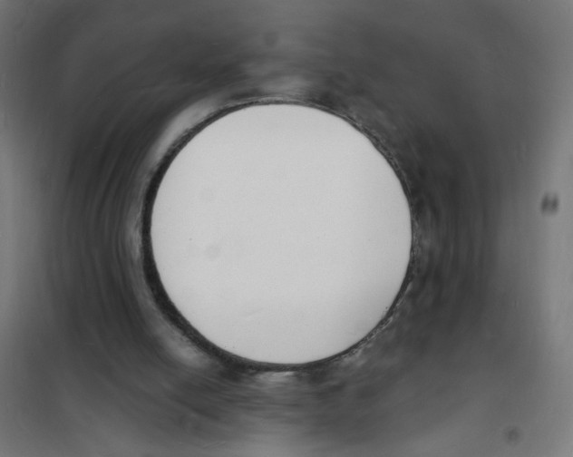 X0000101670054200808071054