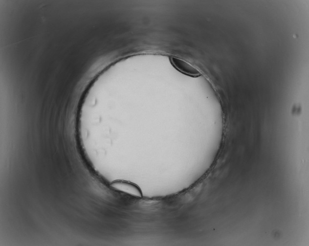 X0000101670055200808071054