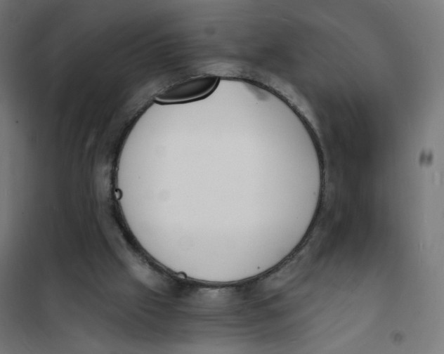 X0000101670057200808071054