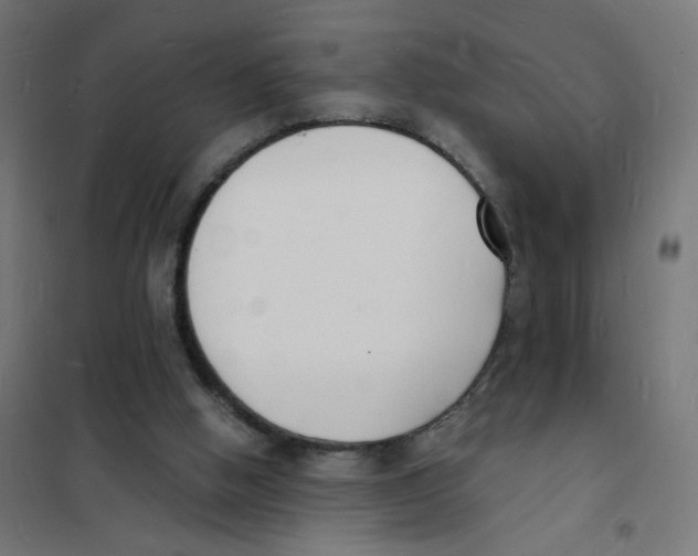 X0000101670058200808071054