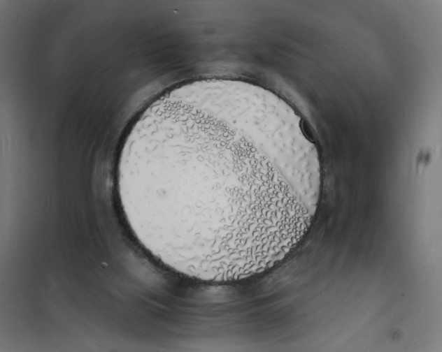 X0000101670059200808071054