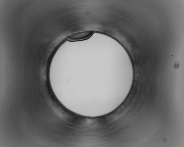 X0000101670060200808071054