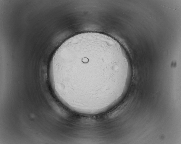 X0000101670061200808071054