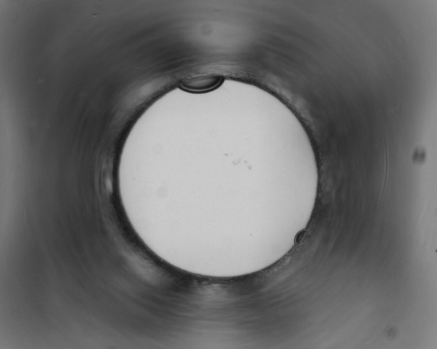X0000101670062200808071054