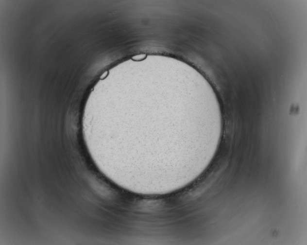 X0000101670063200808071054