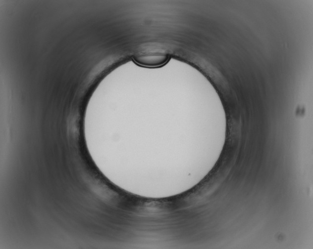 X0000101670064200808071054