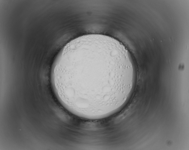 X0000101670065200808071054