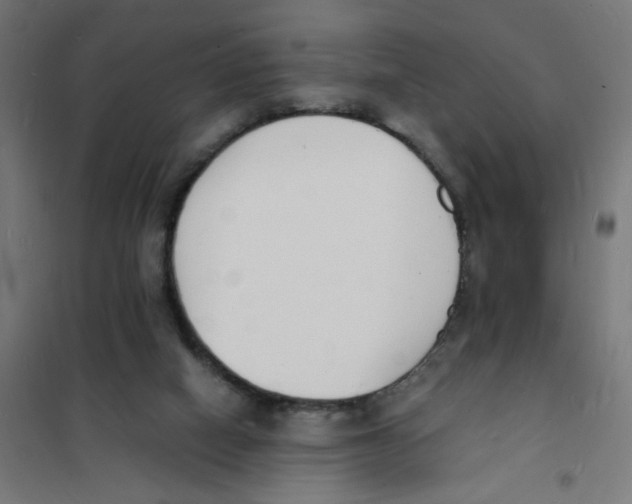 X0000101670066200808071054