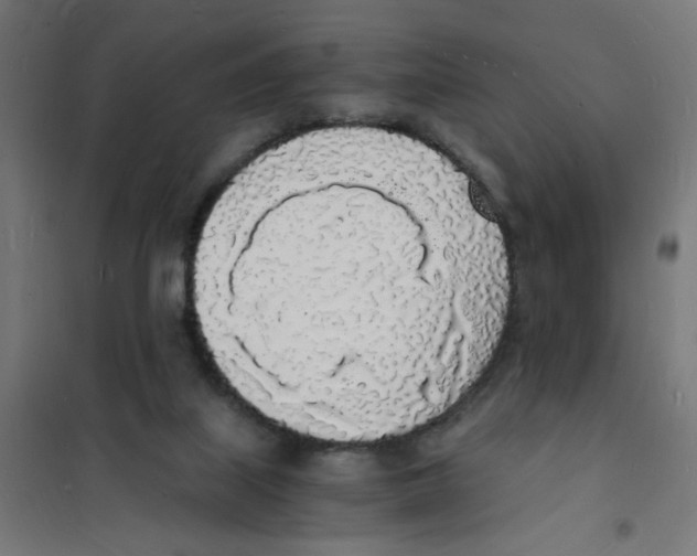 X0000101670067200808071054