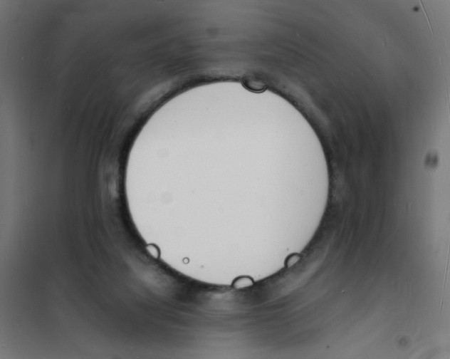 X0000101670068200808071054