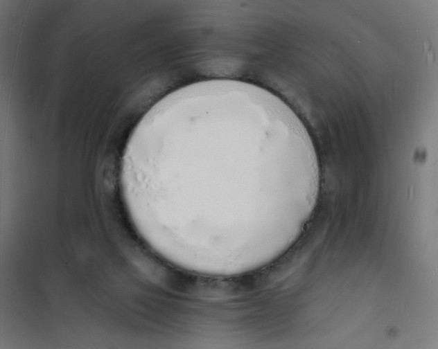 X0000101670069200808071054