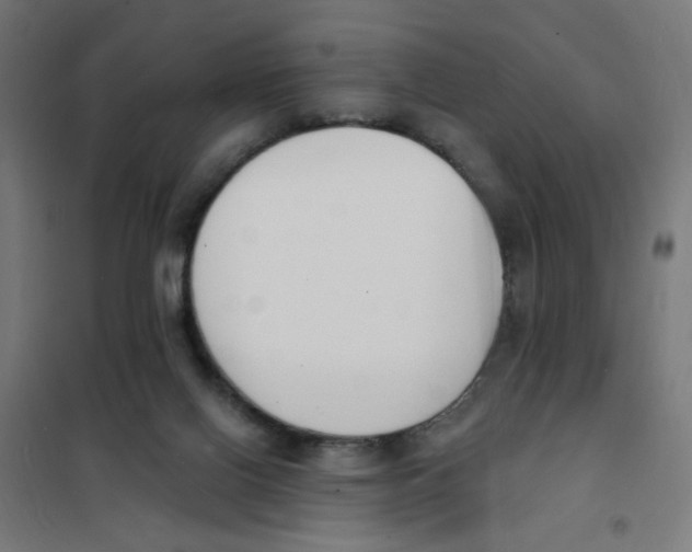 X0000101670070200808071054