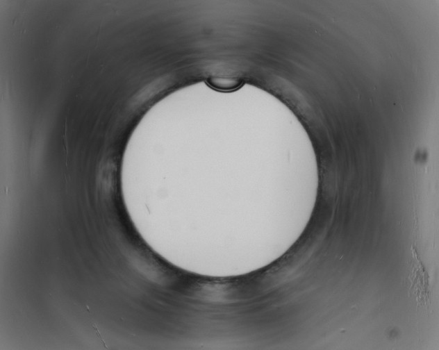 X0000101670071200808071055