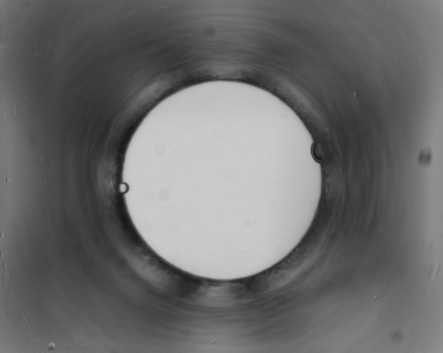 X0000101670072200808071055