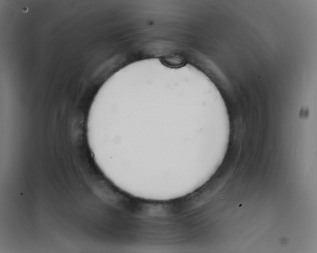 X0000101670073200808071055