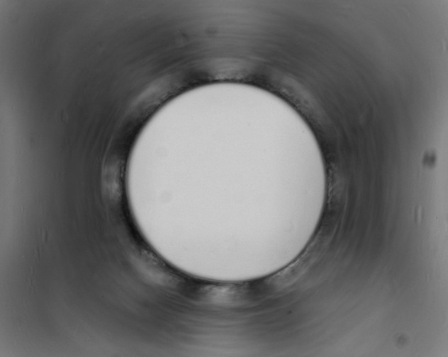 X0000101670074200808071055