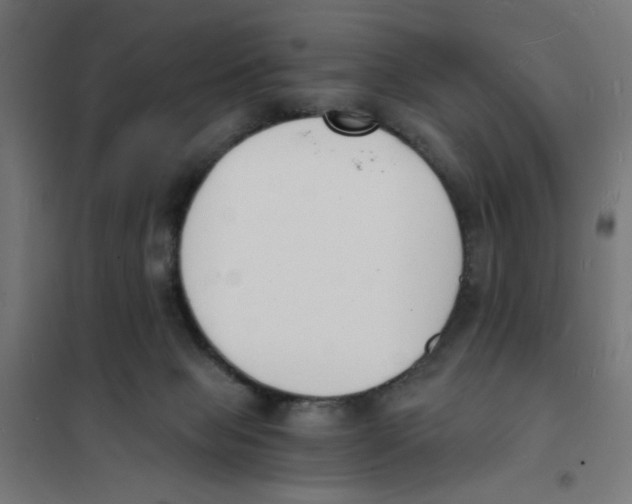 X0000101670077200808071055