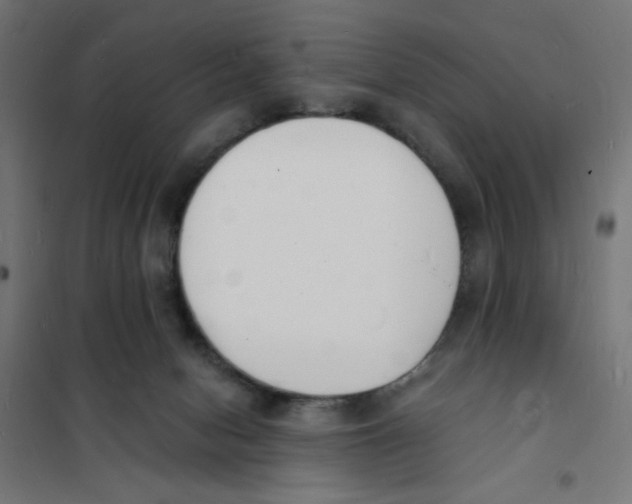 X0000101670078200808071055