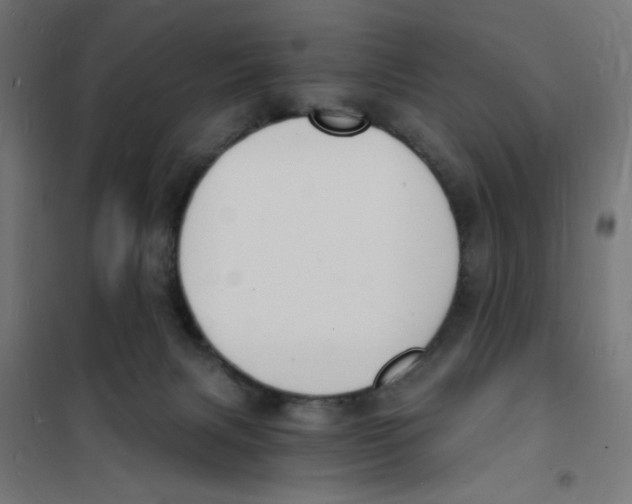 X0000101670079200808071055