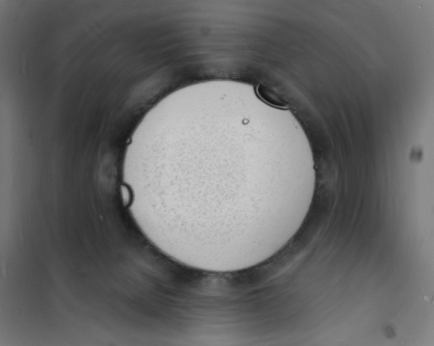 X0000101670080200808071055