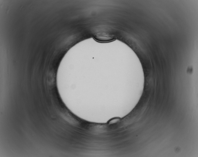 X0000101670081200808071055