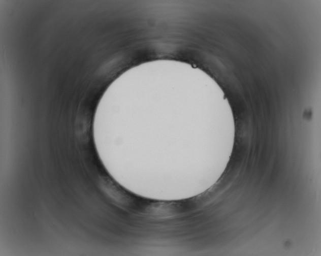 X0000101670082200808071055