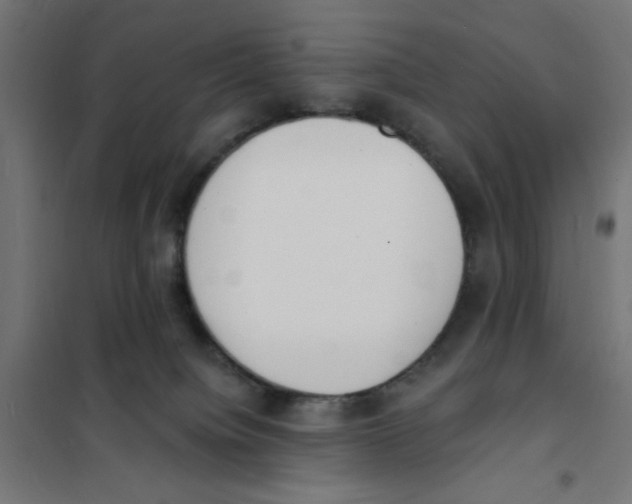 X0000101670084200808071055