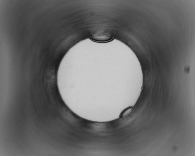 X0000101670085200808071055