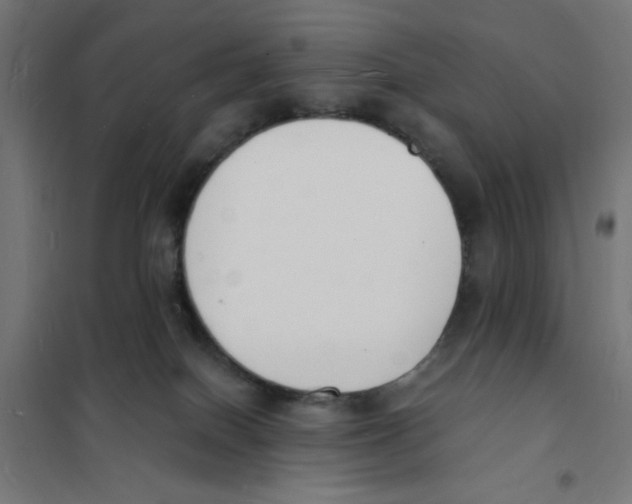 X0000101670086200808071055