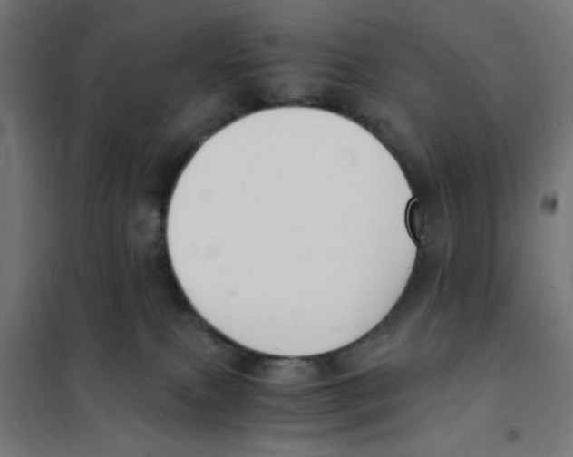 X0000101670087200808071055