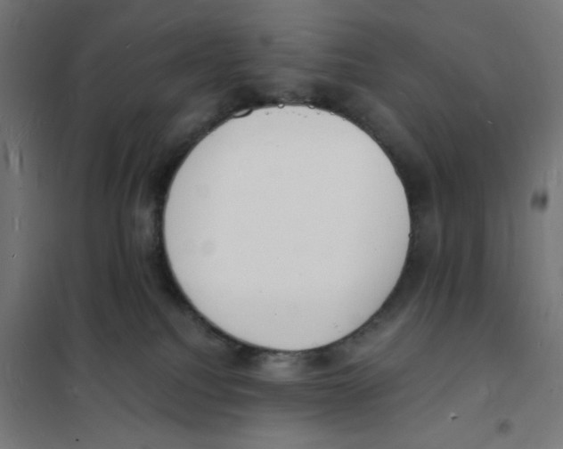 X0000101670088200808071055