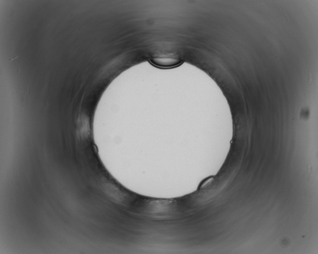 X0000101670089200808071055