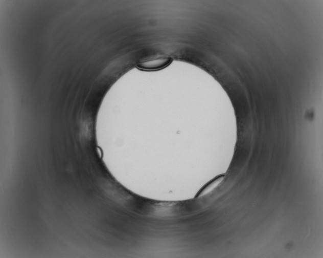 X0000101670090200808071055