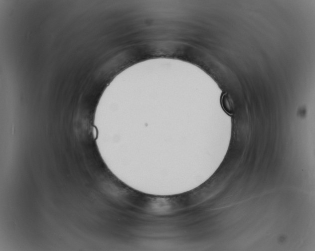 X0000101670091200808071055