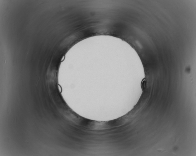 X0000101670093200808071055