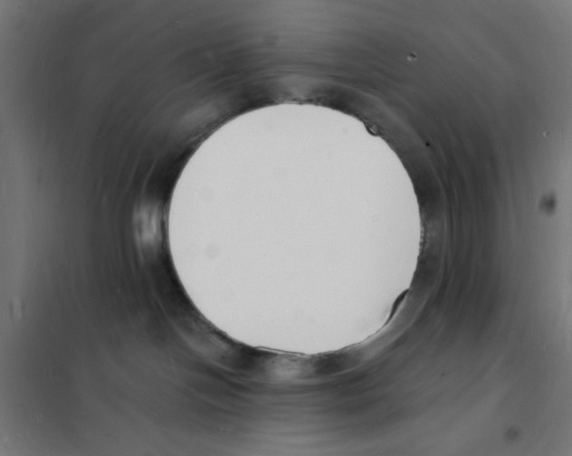 X0000101670094200808071055