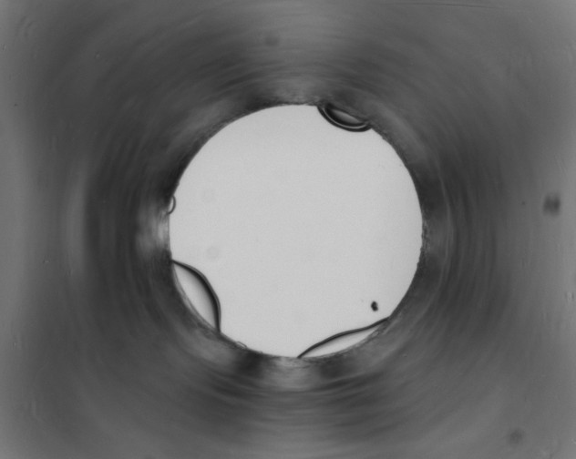 X0000101670095200808071055